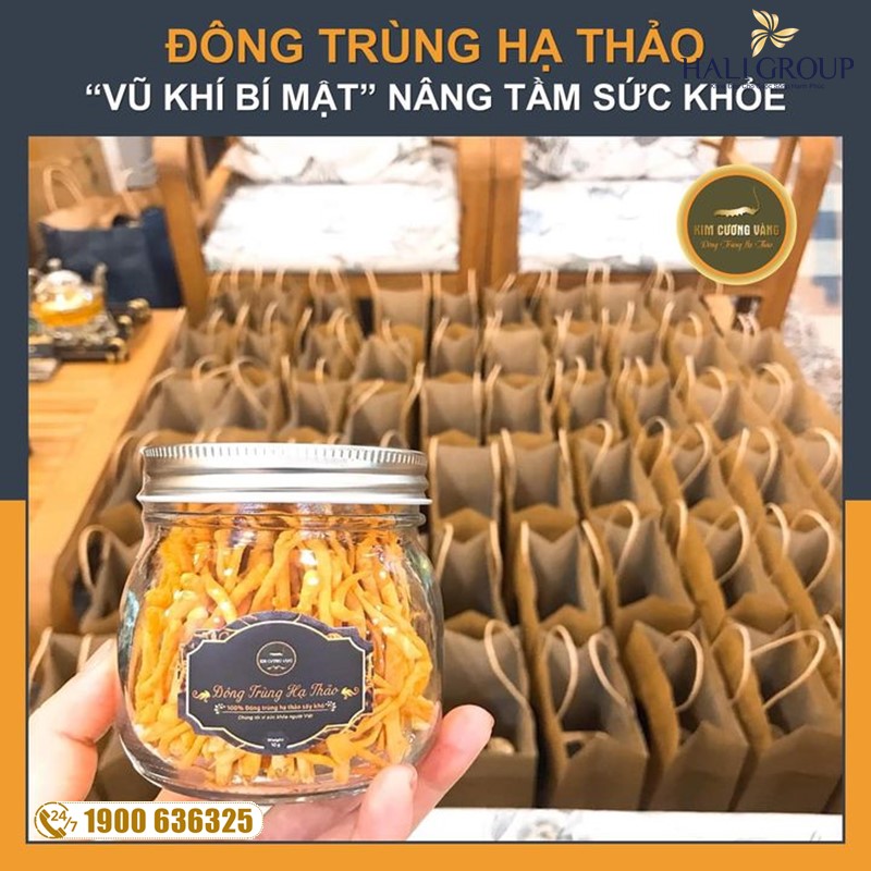 Nhận xét về Đông Trùng Hạ Thảo Kim Cương Vàng của người sử dụng sau một thời gian sử dụng sản phẩm